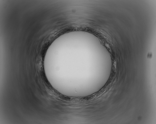 X0000102250963200807250857
