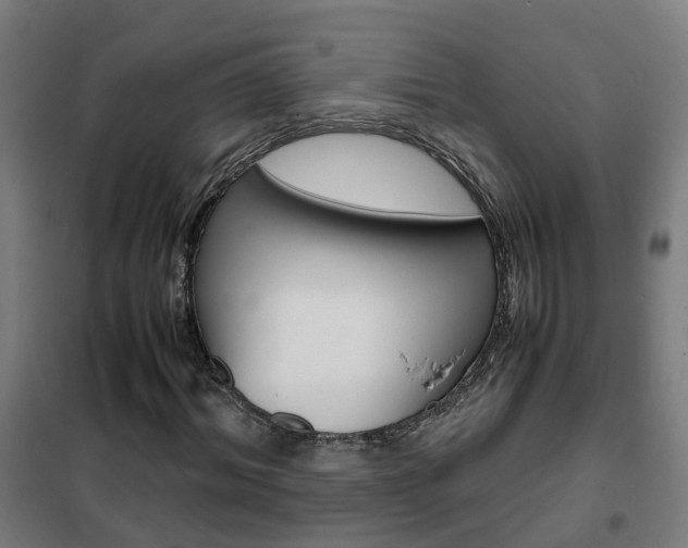 X0000102250964200807250857