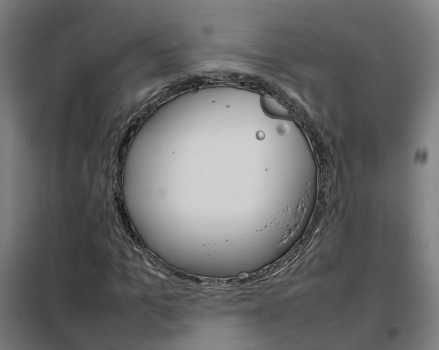 X0000102250965200807250857