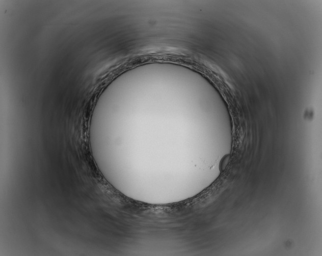X0000102250966200807250857