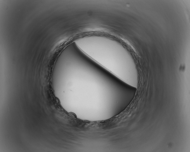 X0000102250967200807250857