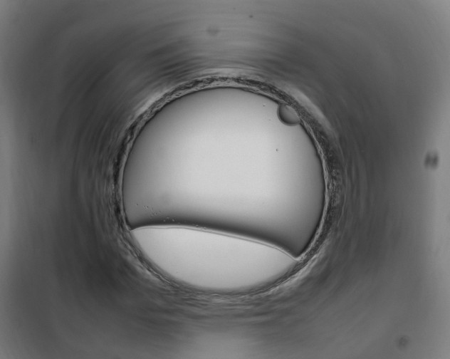 X0000102250969200807250857