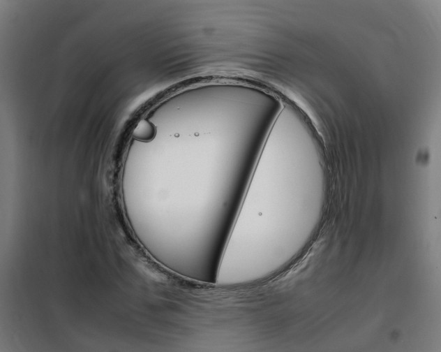 X0000102250971200807250857