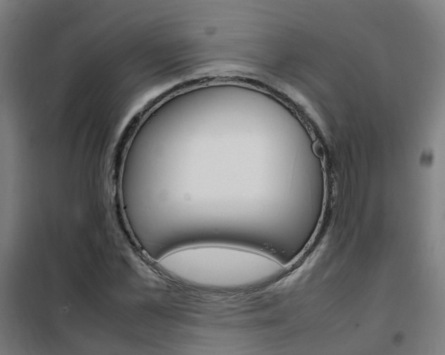X0000102250973200807250857
