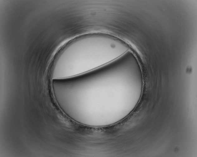 X0000102250975200807250857