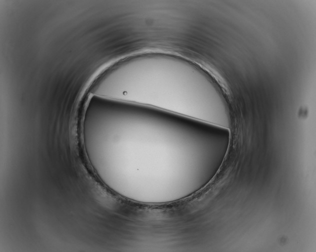 X0000102250976200807250857
