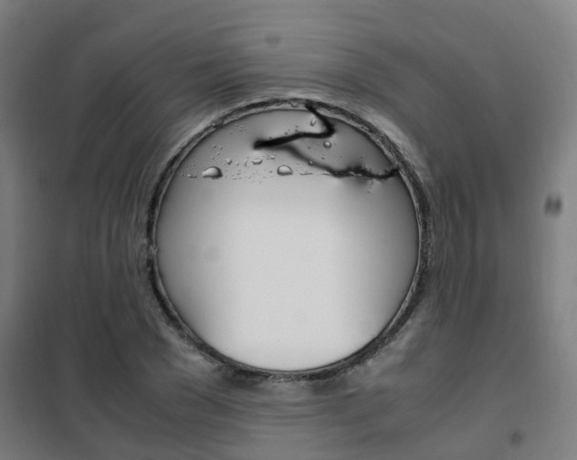 X0000102250977200807250857