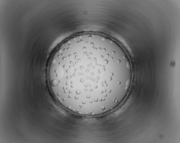 X0000102250978200807250857