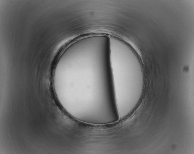 X0000102250979200807250857