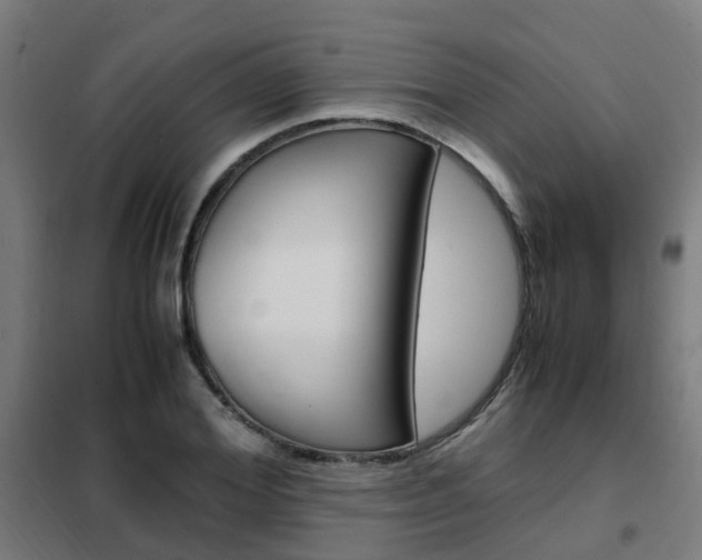 X0000102250980200807250857