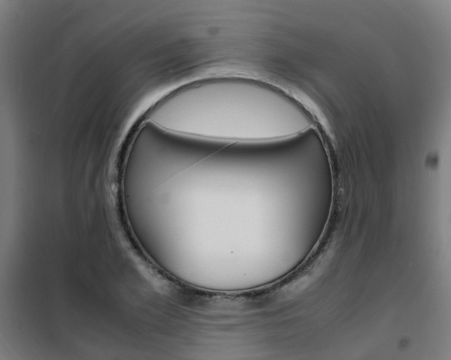 X0000102250981200807250857