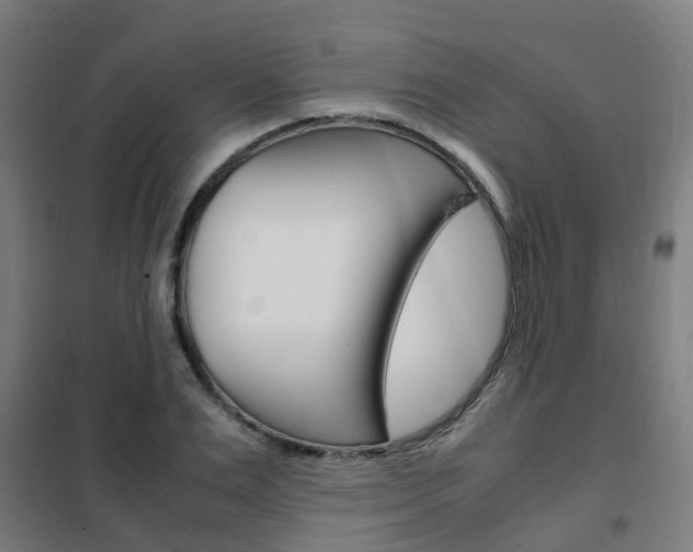 X0000102250983200807250857