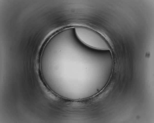 X0000102250984200807250857
