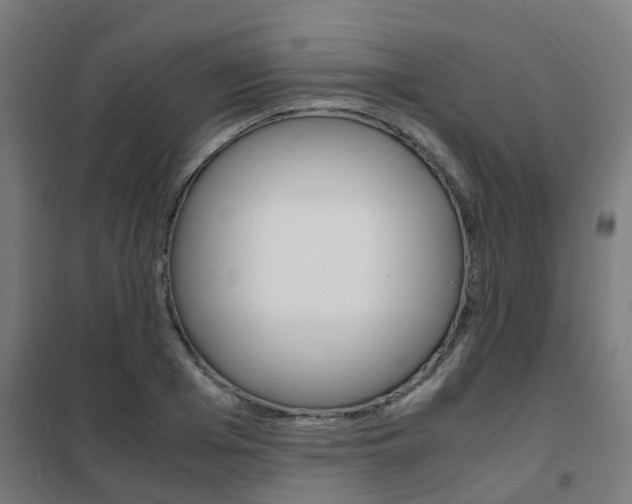 X0000102250985200807250857