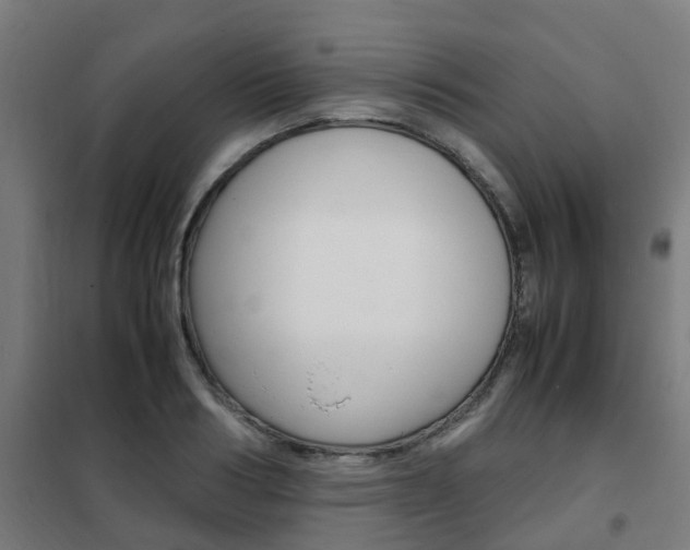 X0000102250986200807250857