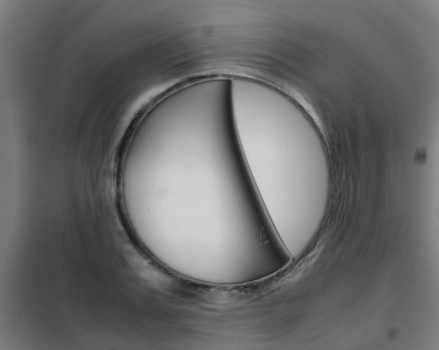 X0000102250987200807250857