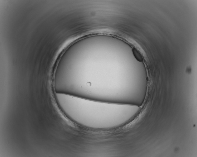 X0000102250989200807250857