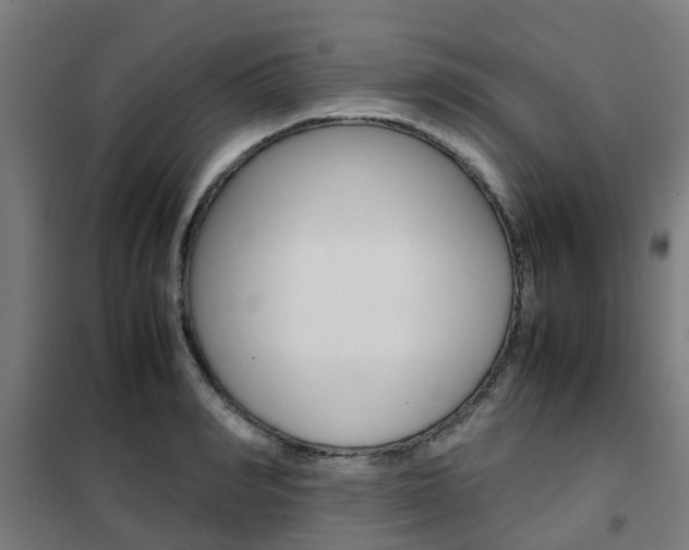 X0000102250990200807250857