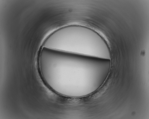 X0000102250991200807250857