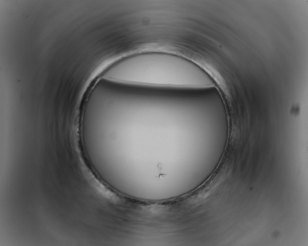 X0000102250992200807250857