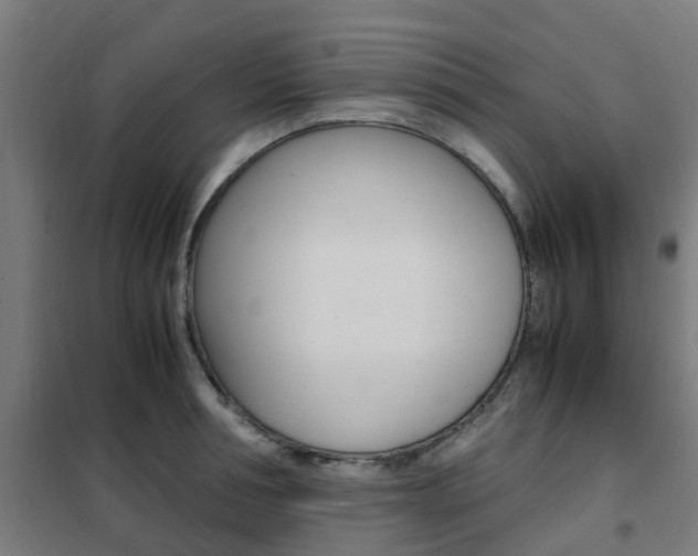 X0000102250994200807250857