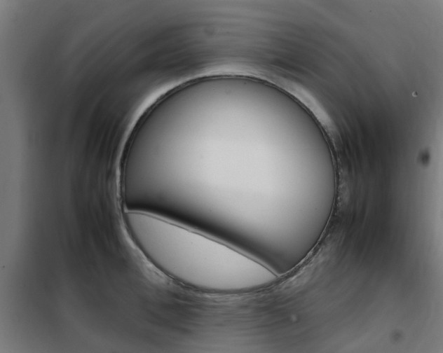 X0000102250996200807250857