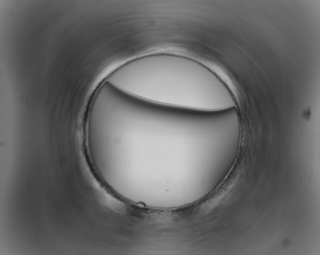 X0000102250999200807250857