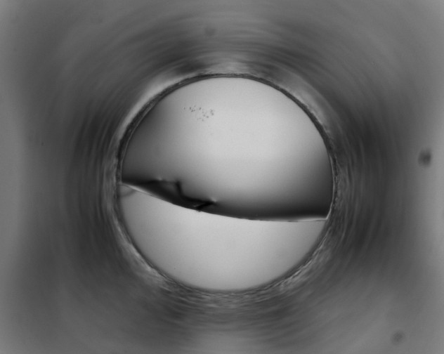 X0000102251000200807250857