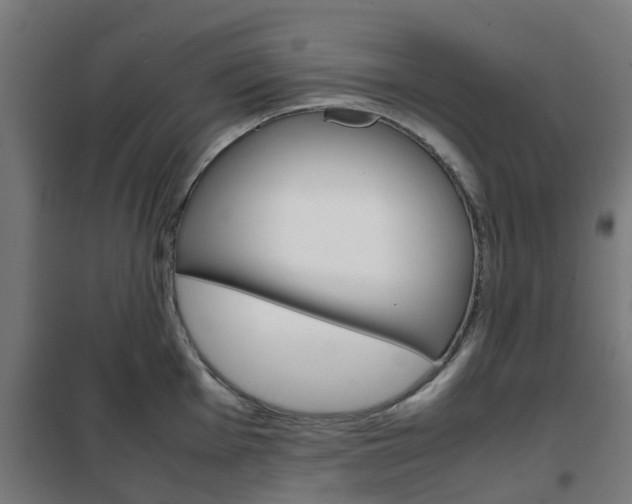 X0000102251001200807250857
