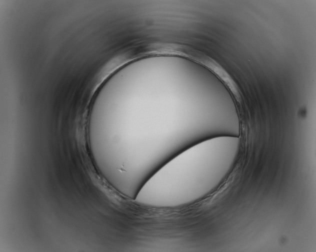 X0000102251002200807250857
