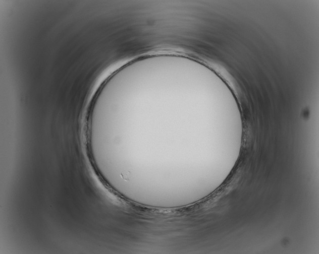 X0000102251003200807250857