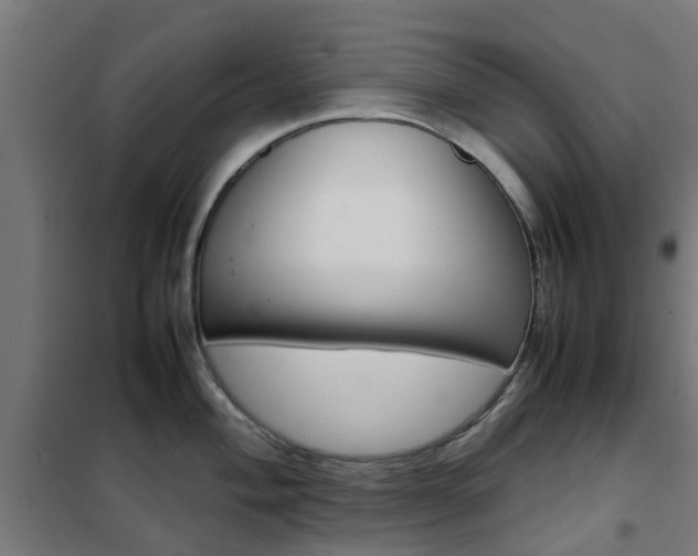 X0000102251004200807250857