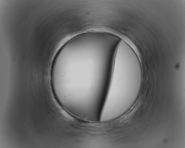 X0000102251005200807250857