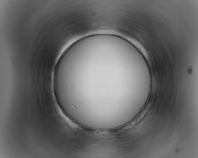 X0000102251006200807250857