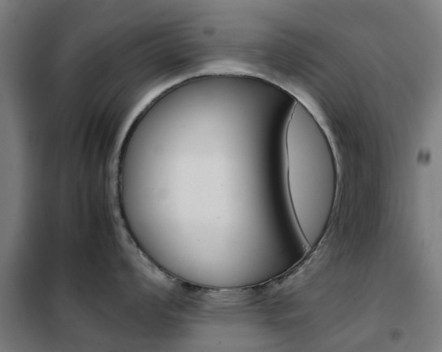 X0000102251008200807250857