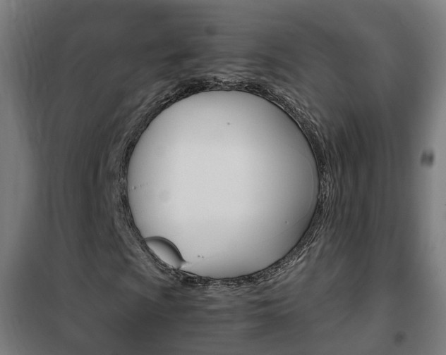 X0000102251009200807250856