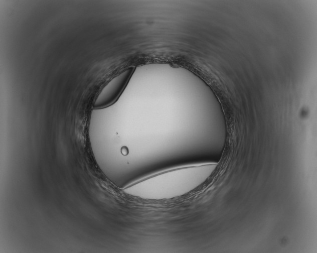 X0000102251010200807250856