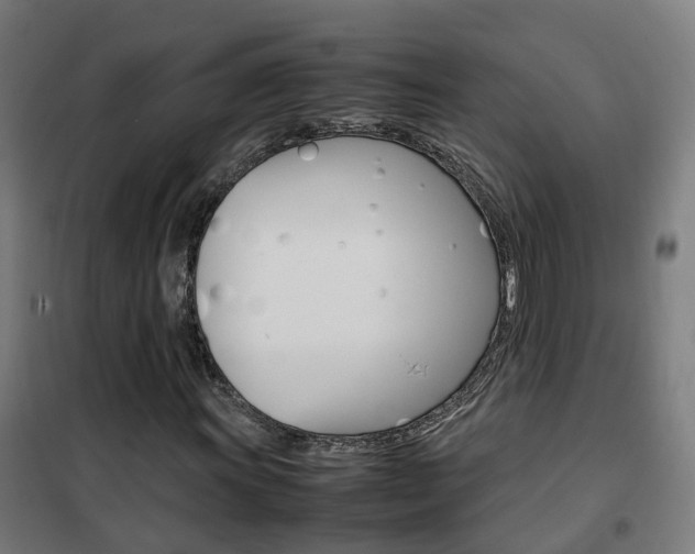 X0000102251011200807250856