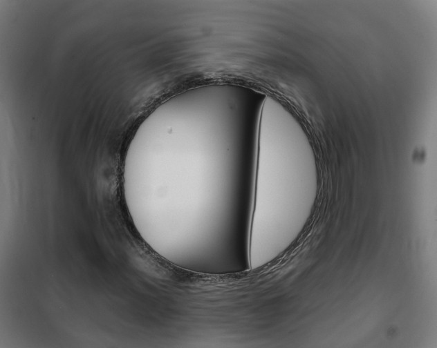 X0000102251012200807250856