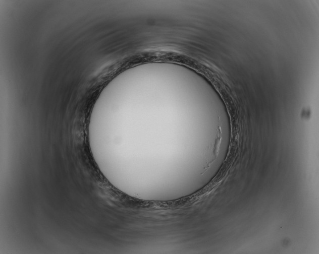 X0000102251014200807250856