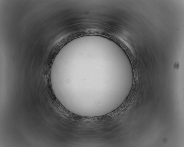 X0000102251015200807250856