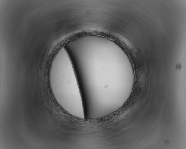 X0000102251016200807250856