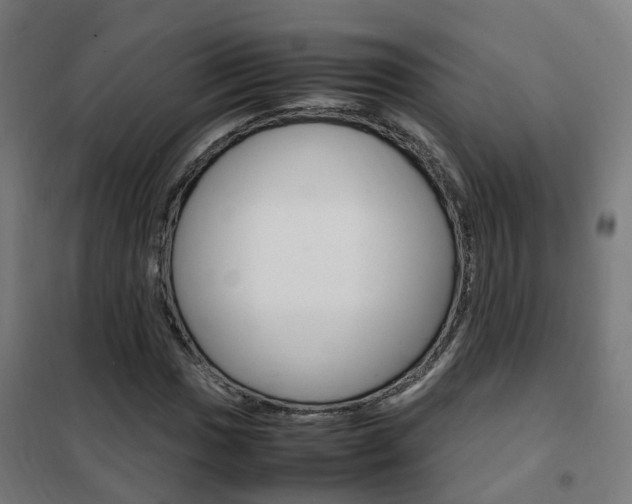 X0000102251017200807250856