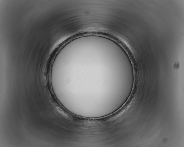 X0000102251018200807250856