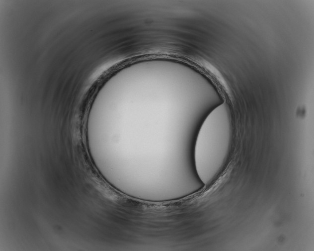 X0000102251019200807250856