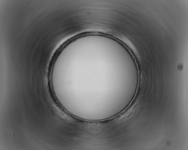 X0000102251020200807250856