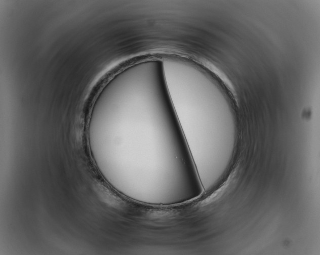 X0000102251021200807250856