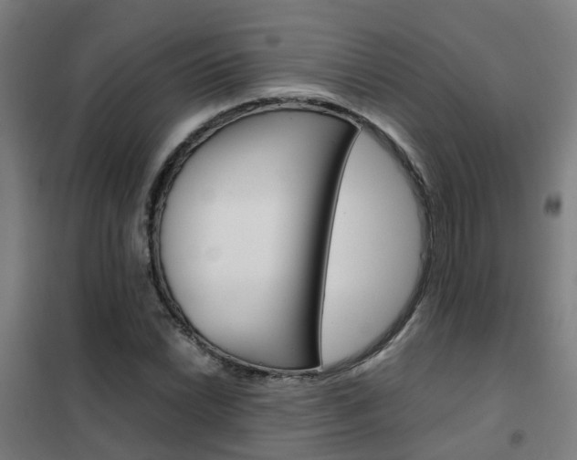 X0000102251022200807250856