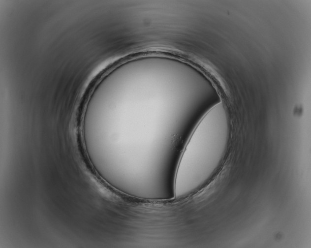 X0000102251024200807250856