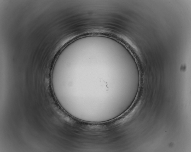 X0000102251025200807250856